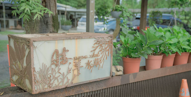 胜洋水草休闲农场