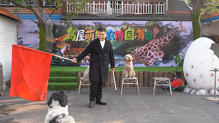 鸟屋乐园第 23 张图片