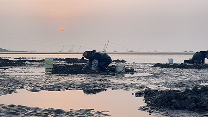 西海渔港赶海地第 7 张图片