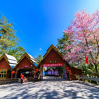 腾冲樱花谷森林温泉景区