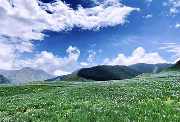 祁连山冰沟河景区第 96 张图片