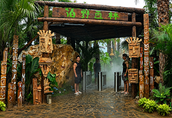 泊野雨林第 4 张图片