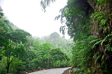 白水仙风景名胜区第 24 张图片
