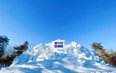 太阳岛雪博会第 20 张图片