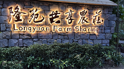 隆苑咖啡庄园第 4 张图片