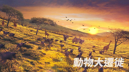 台北i-Ride第 5 张图片