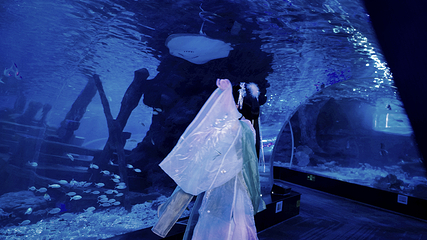 江和美海洋公园第 17 张图片
