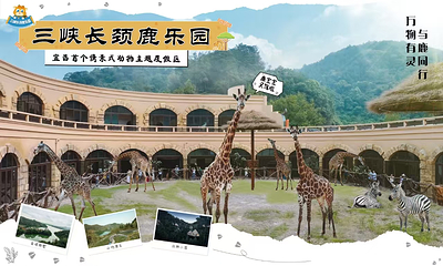 清江湾·三峡长颈鹿乐园第 5 张图片