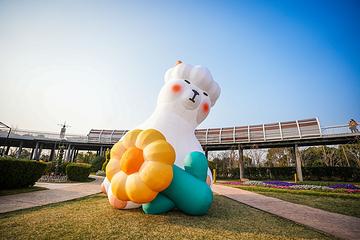 上海奇迹花园第 9 张图片