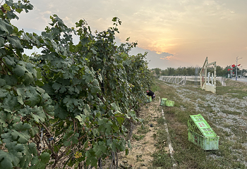 西夏王玉泉国际酒庄第 33 张图片