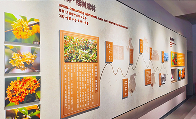桂花公社第 10 张图片