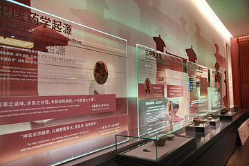 岜山中医药健康旅游示范基地第 35 张图片
