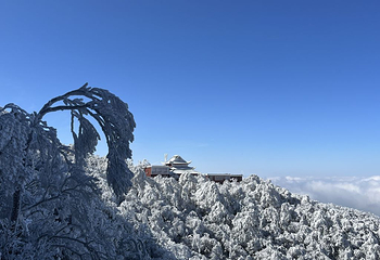莽山旅游区国家森林公园第 36 张图片