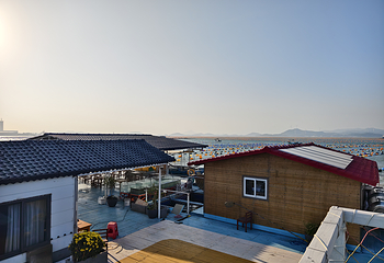 海中园海上生态鱼排体验基地第 16 张图片