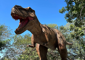 百果山探索乐园