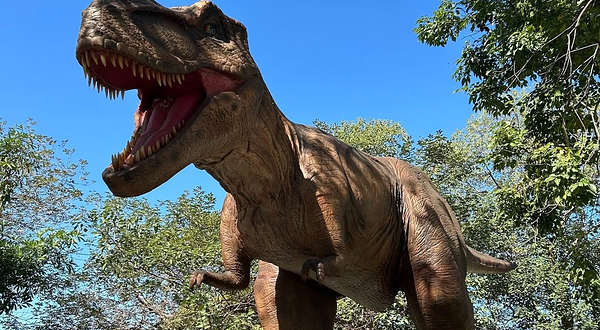 百果山探索乐园