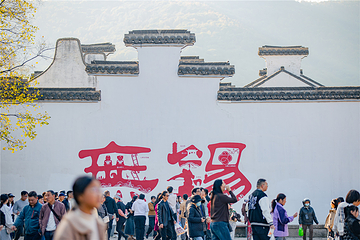 惠山古镇·寄畅园第 55 张图片