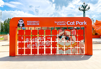 猫咪主题公园第 2 张图片