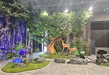 石台牯牛降景区第 81 张图片