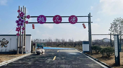 夏集桃花源第 4 张图片