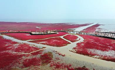 红海滩国家风景廊道第 171 张图片
