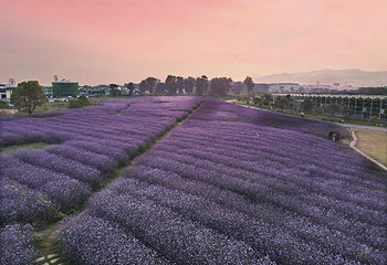 四月乡村中国供销主题园第 16 张图片