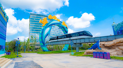 长沙湘江海洋王国第 32 张图片