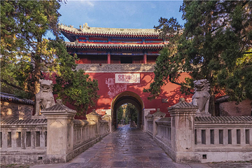 孔林第 8 张图片