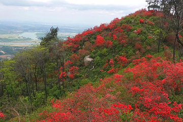 云居山第 20 张图片