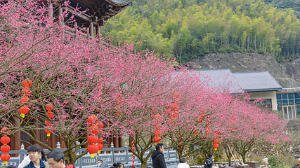 葛仙村度假区第 64 张图片