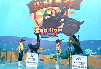 临汾海昌海洋探索馆第 99 张图片