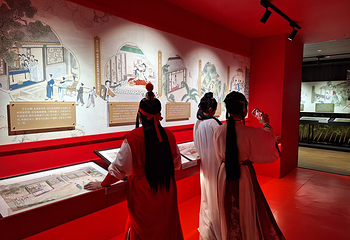 锦官入梦·蜀韵红楼——《红楼梦》数字艺术展第 6 张图片