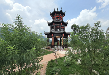 茶趣园第 23 张图片