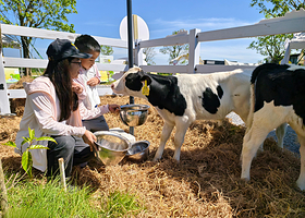 大野牧乡国际牧场