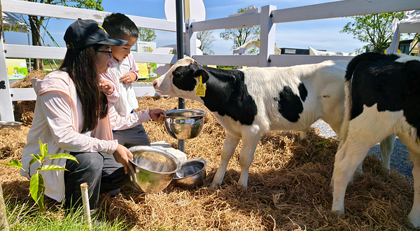 大野牧乡国际牧场