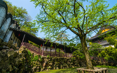惠山古镇·寄畅园第 62 张图片