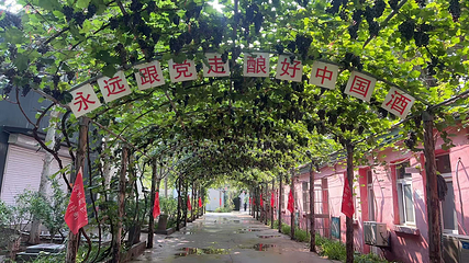 奥德曼葡萄酒庄园第 23 张图片
