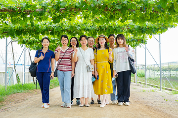 厚承陈皮文化生态园第 44 张图片