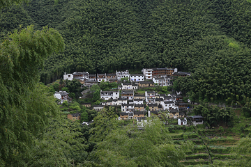 木坑竹海第 34 张图片