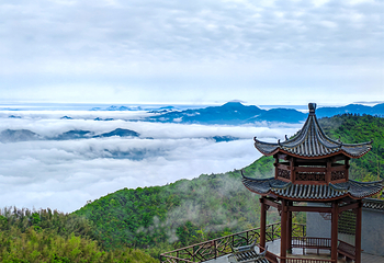 大华山蝶栖谷景区第 18 张图片