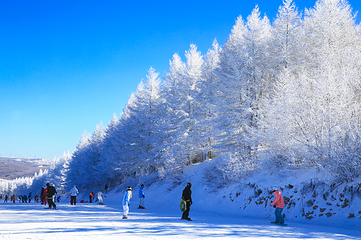 万龙滑雪场第 58 张图片