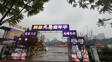 铜梁龙舞嘉年华第 3 张图片