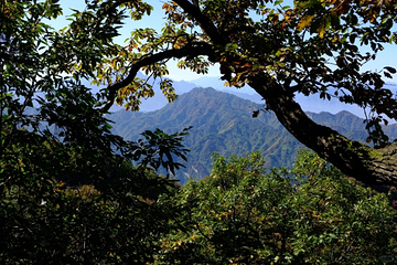 青华山卧佛寺景区第 31 张图片