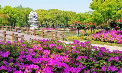 三国水浒景区(中央电视台无锡影视基地)第 38 张图片