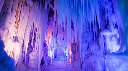 长春冰雪新天地第 65 张图片