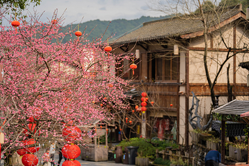 葛仙村度假区第 28 张图片