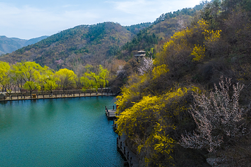九如山休闲旅游度假区第 153 张图片