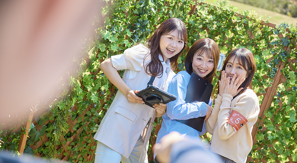 二次元之森·SPY×FAMILY~心跳迷宫和花卉公园~