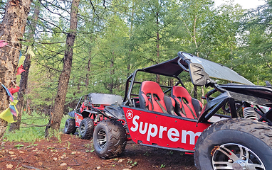 阿尔山氧心森林浴道景区第 38 张图片