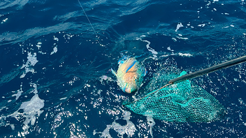 三亚游艇海钓俱乐部